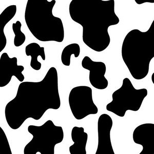 Meet your Posher, Miles